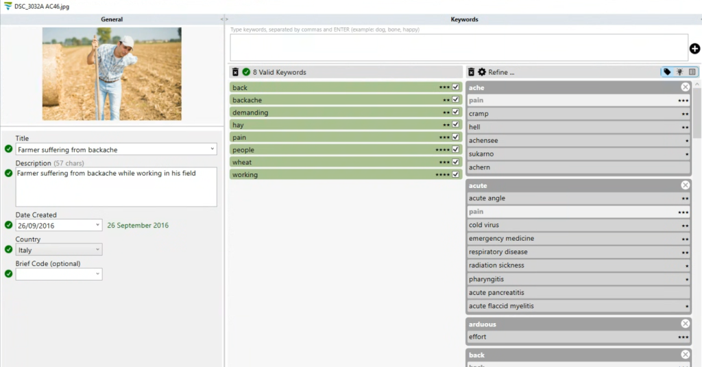 Screenshot from DeepMeta showing very few keywords for a sample images